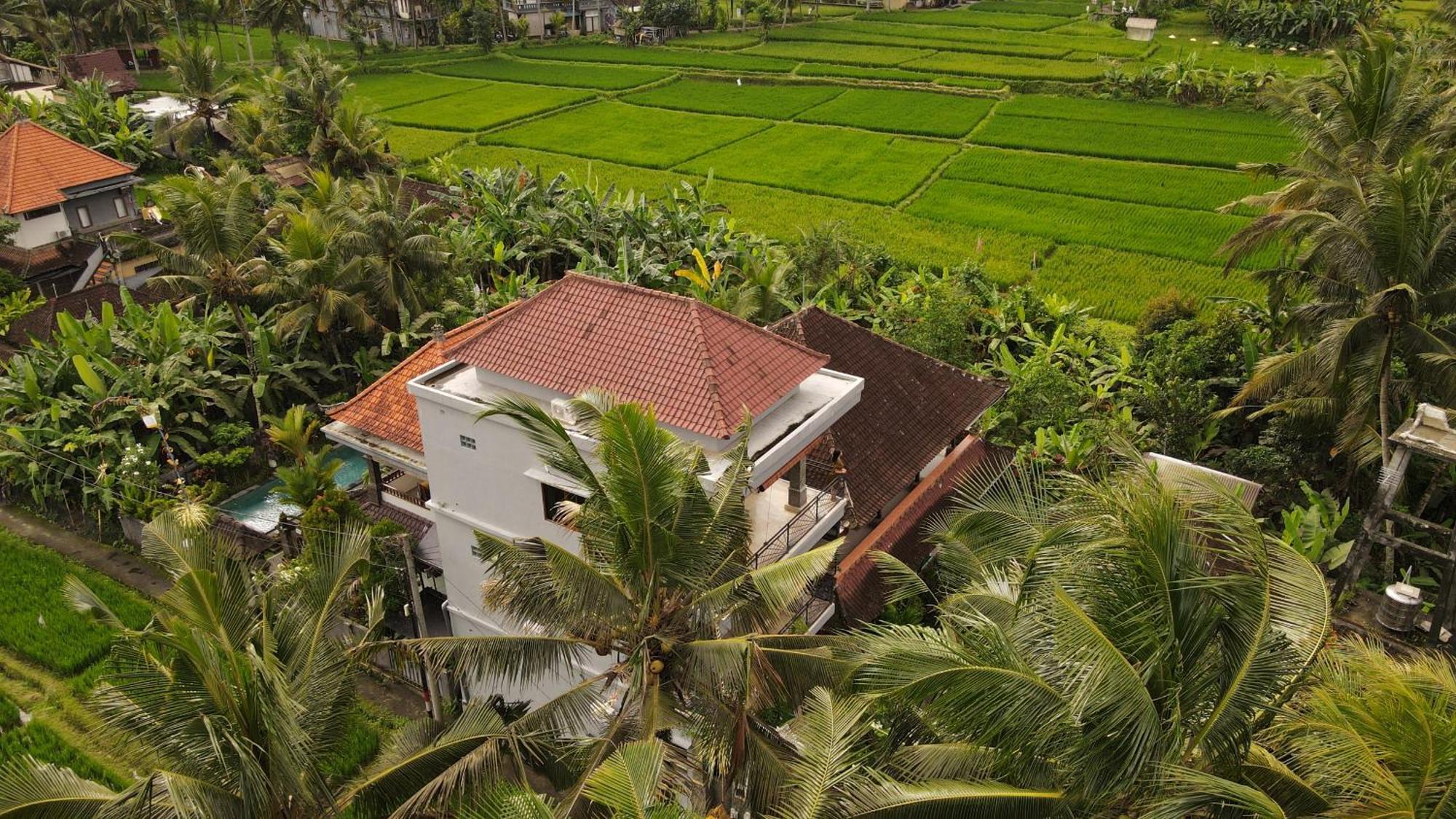 Nirwa 1 Ubud Guesthouse Ngoại thất bức ảnh