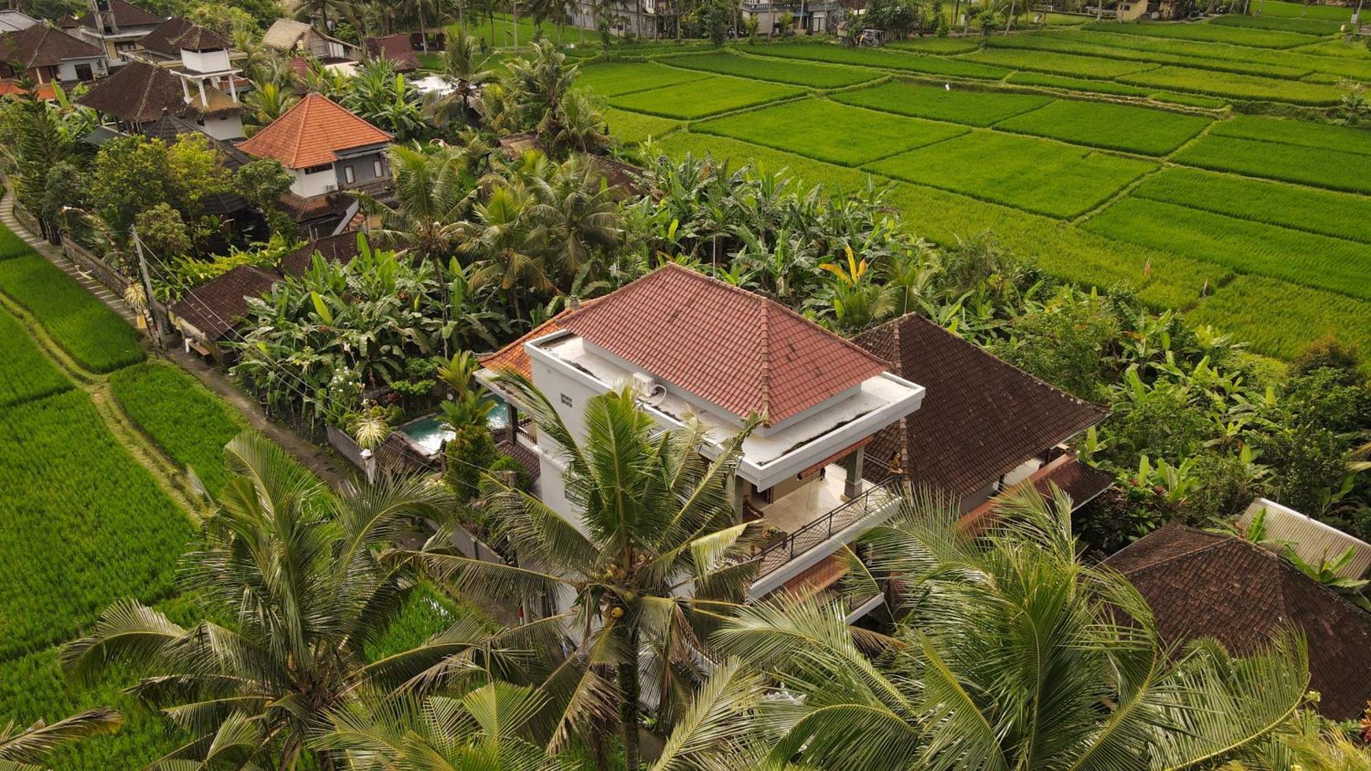Nirwa 1 Ubud Guesthouse Ngoại thất bức ảnh